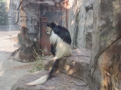 -南昌动物园