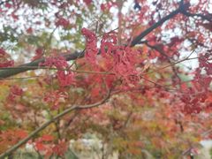 -南京市江宁方山