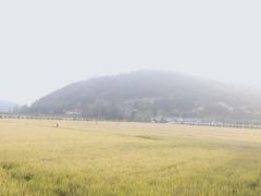 -南泥湾风景区