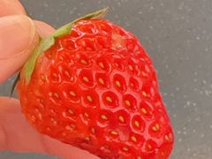 -果唯伊(共和新路店)