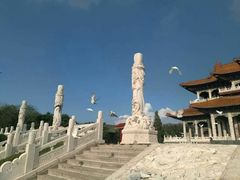 白鸽祈福-玉佛苑