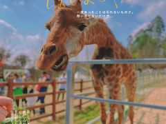 -黄龙溪欢乐田园
