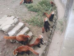 -西安秦岭野生动物园