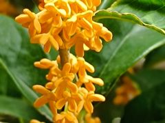 -苏州河梦清园环保主题公园