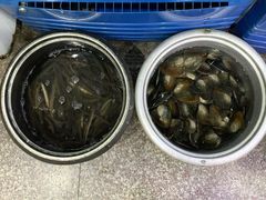 -全乐鱼馆·淳牌有机鱼直营店