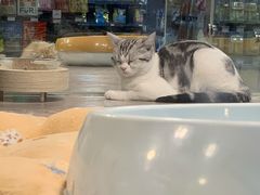 -宠物世家(仲盛世界商城店)