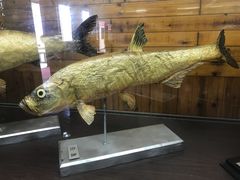 -南京金牛湖风景区