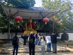 -上海佘山国家森林公园天马山园