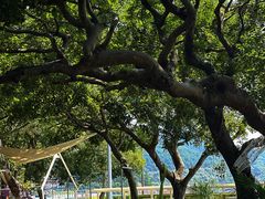 -东海半边山旅游度假区