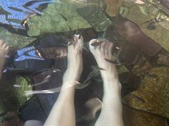 -宁海森林温泉