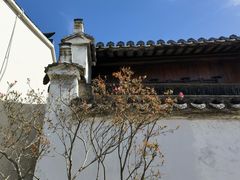 -月栖华明-云间草堂清茶馆(泗泾古镇店)