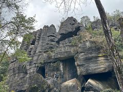 -梭布垭石林景区