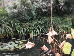 -苏堤停车场