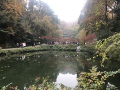 -岳麓山风景名胜区