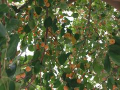 -三五九旅屯垦纪念馆