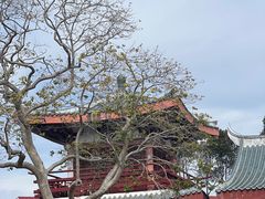 -莆田南少林寺