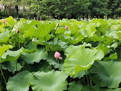 -沐仙湖湿地公园