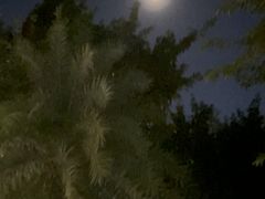 -北岐滩涂