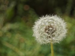 -蓝丝带产后恢复中心(于洪店)