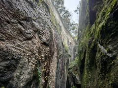 -鲁镇