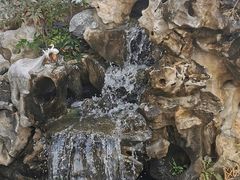 -呼吸森林·生态农庄农家乐私房菜