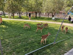 -北京鹿世界主题园