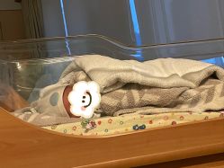 -杭州贝瑞斯美华妇儿医院·早孕·产检·儿科