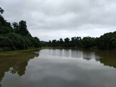-张坝桂圆林公园