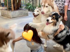 -TrueLove @ Neverland (Husky Cafe)