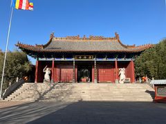 -大槐树寻根祭祖园