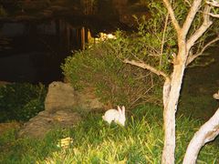 -日出青木·杭帮菜名店