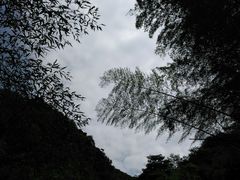 -会稽山峡洞漂流-上青古道