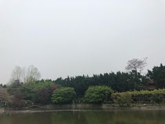 -嘉定紫藤园