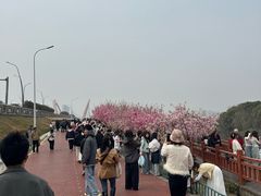 -艾溪湖湿地公园