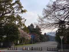 -京都御所
