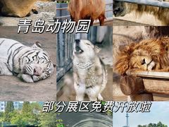 -青岛动物园