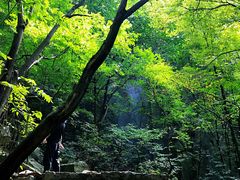-老君洞旅游度假区