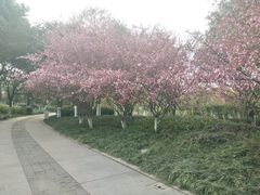 -荆川公园