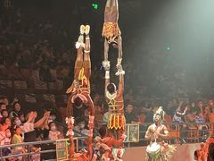 -广州长隆国际大马戏