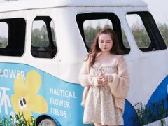 -杭州湾海上花田景区