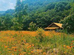 -关门山森林公园