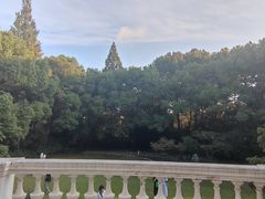 -上海市工艺美术博物馆