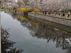 -海棠花溪(元大都城垣遗址公园)