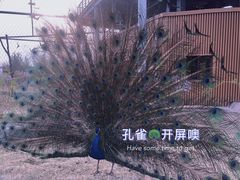 -太原动物园