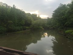 -良渚君澜度假酒店·中餐厅