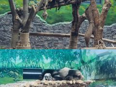 -黔灵山公园