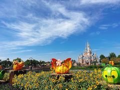 -上海迪士尼度假区