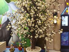 -汤连得温泉馆(宝山店)