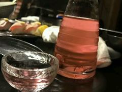 -春草居酒屋·晴子の店