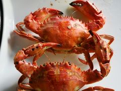 -海味当家·蒸锅海鲜(星海公园店)